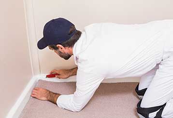 Cheap Water Damage Restoration | Carpet Cleaning Valencia