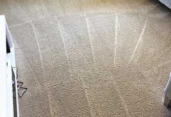 Carpet Cleaning Near Me, Valencia